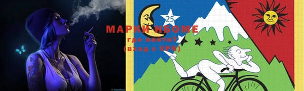 шишки Белоозёрский