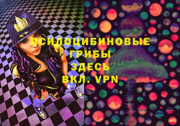 спайс Белокуриха