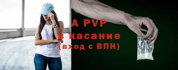 шишки Белоозёрский