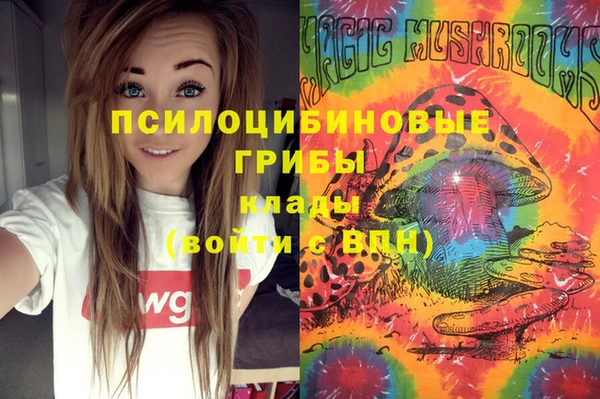 спайс Белокуриха