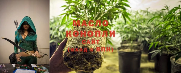 шишки Белоозёрский
