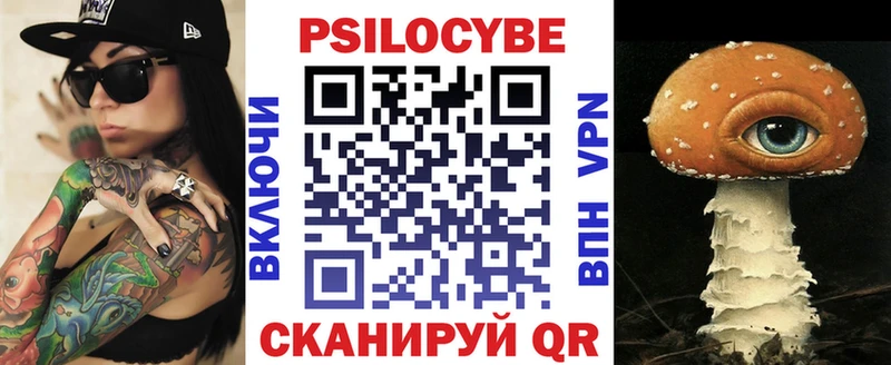 закладка  Нязепетровск  Галлюциногенные грибы Cubensis 